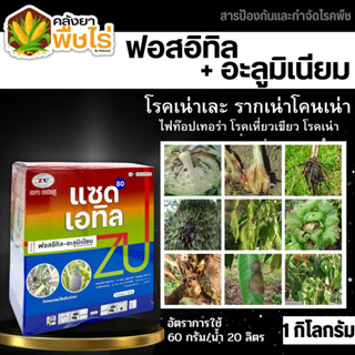 🌽 แซดเอทิล (ฟอสอีทิล-อะลูมิเนียม) 1กิโลกรัม ใช้ป้องกันกำจัดโรคยอดเน่า