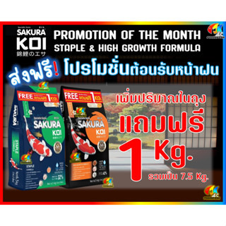 💥ฟรี1กก+ส่งฟรี❗ 🆓 อาหารปลาคาร์ฟ Sakura Koi (ซากุระ โค่ย) 🟢 Staple Formula สูตรสมดุล รักษาสมดุลปลา 6.5 กก