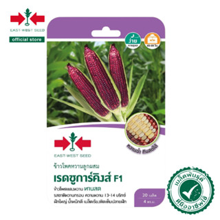 ศรแดง เมล็ดพันธุ์ข้าวโพดหวานลูกผสมF1 เรดชูการ์คิงส์ (เมล็ดเคลือบ) (East-West Seed) เมล็ดพันธุ์ ผักสวนครัว ตราศรแดง