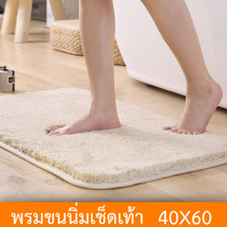 พรมเช็ดเท้า พรมตกแต่งห้องนาน พรมตกแต่งบ้าน พรมวางขายสินค้า ขนาด 40x60 CM