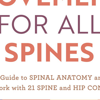 หนังสือภาษาอังกฤษ Safe Movement for All Spines: A Guide to Spinal Anatomy and How to Work with 21 Spine &amp; Hip Conditions