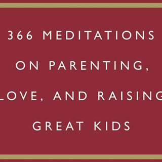 หนังสือภาษาอังกฤษ The Daily Dad: 366 Meditations on Parenting, Love, and Raising Great Kids by Ryan Holiday