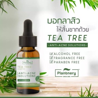 Plantnery Tea Tree Intense Serum 30ml