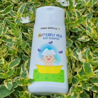 🎊 Magic herbs kids 🎊 โฉมใหม่ 👶 แชมพูเด็กเร่งผมยาว 💜 สูตรอัญชัน 🌿 ส่วนผสมจากธรรมชาติ 100% ไม่ใส่สีและกลิ่น ✨