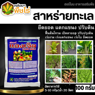 🌽 ฟลอร์แองเจิล (สาหร่ายทะเลสกัด) 100กรัม เร่งราก ยืดยอด แตกแขนง