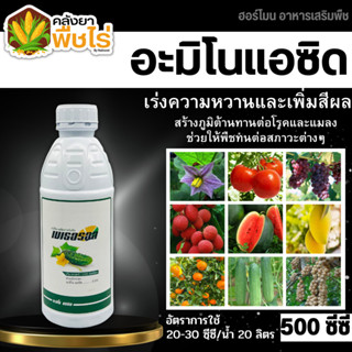 🌽 เมเธอรอล (อะมิโนแอซิด) 500ซีซี แตกยอดใหม่ ขยายผล ฟื้นต้น