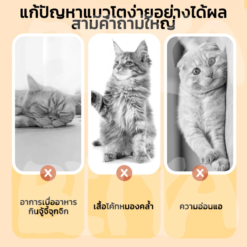 อกไก่ฟรีซดราย ขนมสัตว์เลี้ยง ไก่เต๋า ไม่มีสารปรุงแต่ง thumbnail 10