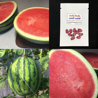 เมล็ดแตงโมไร้เมล็ด แฮปปี้แฟมิลี่ จำนวน10เมล็ด seedless watermelon