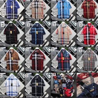 เสื้อเชิ้ตแขนสั้นลายสก๊อต BURBERRY 🏷️ เสื้อเชิ้ตแขนสั้น | เสื้อเชิ้ตคอปก