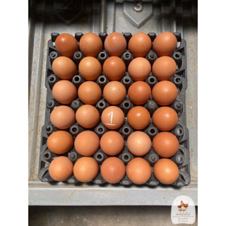 ไข่ไก่เบอร์ 1 ปลอดสาร รับประกันความสดใหม่ ส่งตรงจากฟาร์มไข่ไก่วิรัช เทวภักดิ์