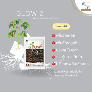 Glow2 โกล2 จุลินทรีย์เพิ่มราก ดูดซับธาตุอาหารในดิน กระตุ้นการเจริญเติบโตพืช ชนิดแคปซูล ป้องกันโรครากเน่า เพิ่มราก2เท่า