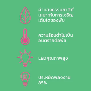 LAMPTAN หลอดไฟปลูกต้นไม้กำลังวัตต์สูง High Bay Plant Grow Tri-Pod 27w ขั้ว E27 แสงธรรมชาติสำหรับปลูกต้นไม้