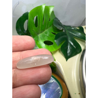 Natural moonstone 13 carats size 10x25mm 1 pieces