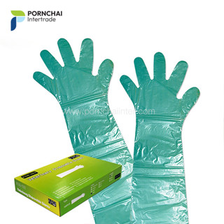 ถุงมือยาว ถุงมือล้วง ยาวถึงไหล่ สีเขียว 100 ชิ้น Veterinary Disposable Gloves, Green