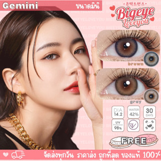 คอนแทคเลนส์🌈Gemini🌈 Brown/Gray (Luxzylens) ขนาดมินิ💖 รุ่นฮิตล่าสุดจากเกาหลี