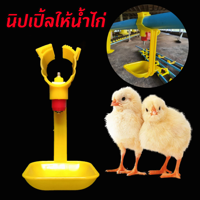 ถูกสุด💥นิปเปิ้ลให้น้ำไก่ นิปเปิ้ลอัตโนมัติ นิปเปิ้ลให้น้ำนกกระทา ที่ให้น้ำอัตโนมัติสำหรับสัตว์ปีก ใช้สำหรับท่อน้ำ 6หุน