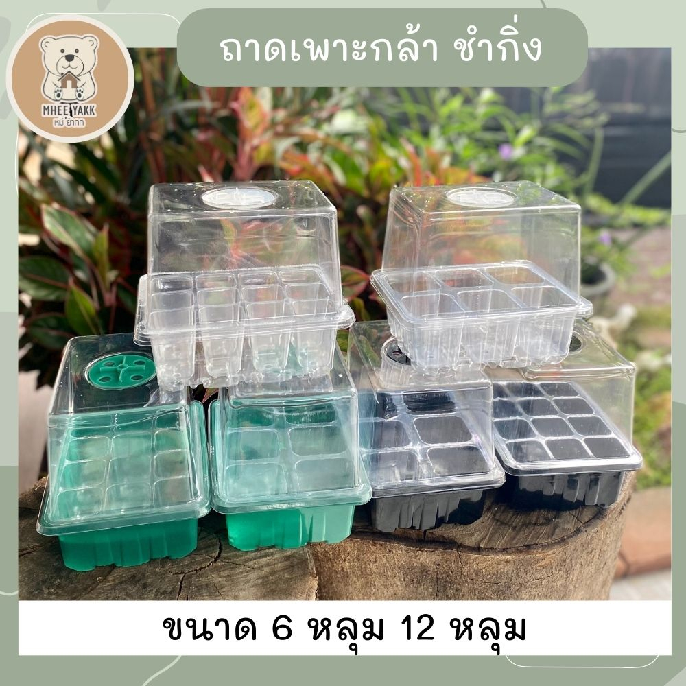 ชุดถาดเพาะเมล็ด กล่องเพาะเมล็ด กล่องเพาะกล้า ถาดปักชำกิ่ง พร้อมฝาบ่มระบายอากาศ ทรงสูง ควบแน่นต้นไม้