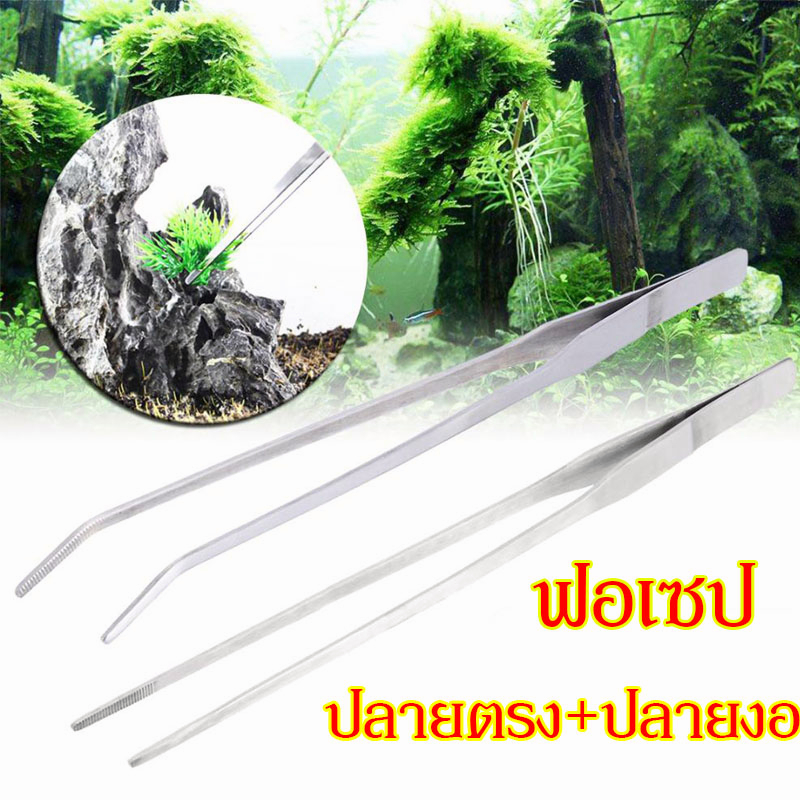 ฟอเซปยาว ฟอเซป forcep ยาว ปากคีบ แหนบ สแตนเลส อุปกรณ์จัดตู้ไม้น้ำ ได้ของไว