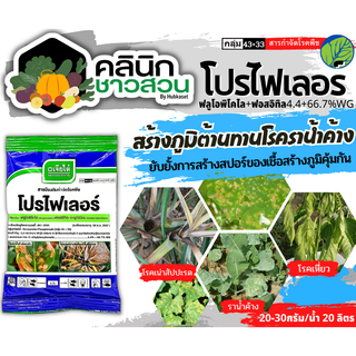 🥬 โปรไฟเลอร์ (ฟลูโอพิโคไล+ฟอสอีทีล-อะลูมิเนียม) บรรจุ 100กรัม ยาป้องกันและกำจัดโรคราน้ำค้าง