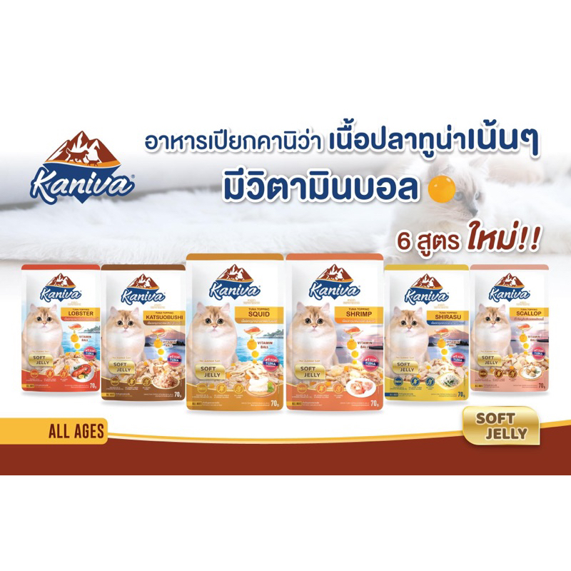 อาหารเปียก kaniva สูตรใหม่ 6 สูตร