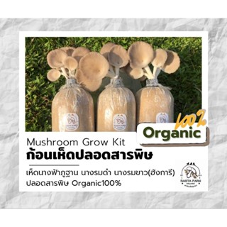 Mushroom Grow Kit - ก้อนเชื้อเห็ด ปลอดสารพิษ ✔️Organic