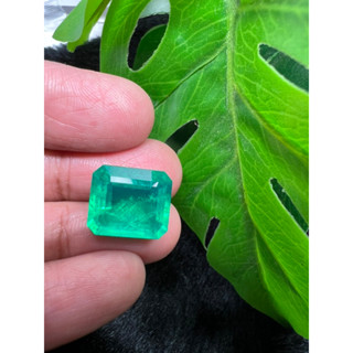 Lab emerald 12x14mm 1 pieces 8.3 carats