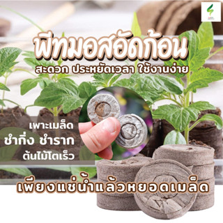 พีทมอสอัดก้อน เพาะเมล็ด ชำกิ่ง ใช้งานง่าย ดินพีทมอสอัดก้อน Peat Pellets ขนาด 30 มม.