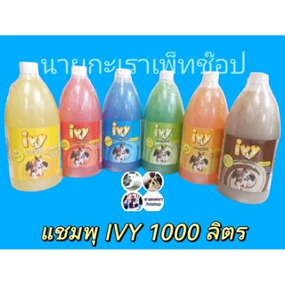 แชมพูอาบน้ำ ไอวี่ IVY Gentel Shampoo for dog สุนัข 1 ลิตร กลิ่นหอมมาก ปราศจากสารเคมี