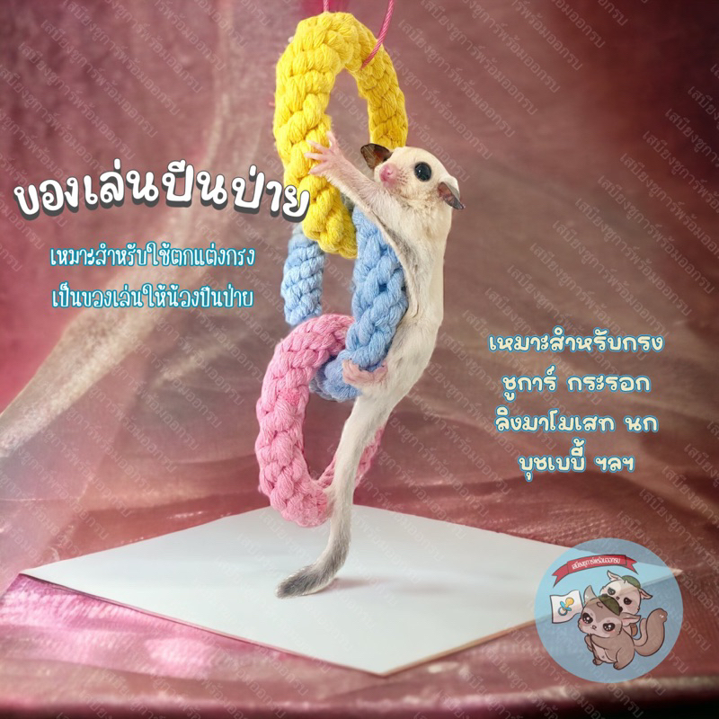 V ( ของเล่นปีนป่าย ) TOY ของเล่น พร็อพถ่ายรูป ปีนป่าย สัตว์เล็ก สัตว์เลี้ยง ชูการ์ กระรอก แฮมสเตอร์ ดอร์เมาส์ กระแต นก