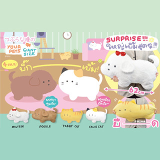 gacha doll - your pets giant size ตุ๊กตา หมาแมว ตัวใหญ่ยักษ์ 60เซน  // หมดแล้วหมดเลยไม่มีเข้าเพิ่มแล้ว