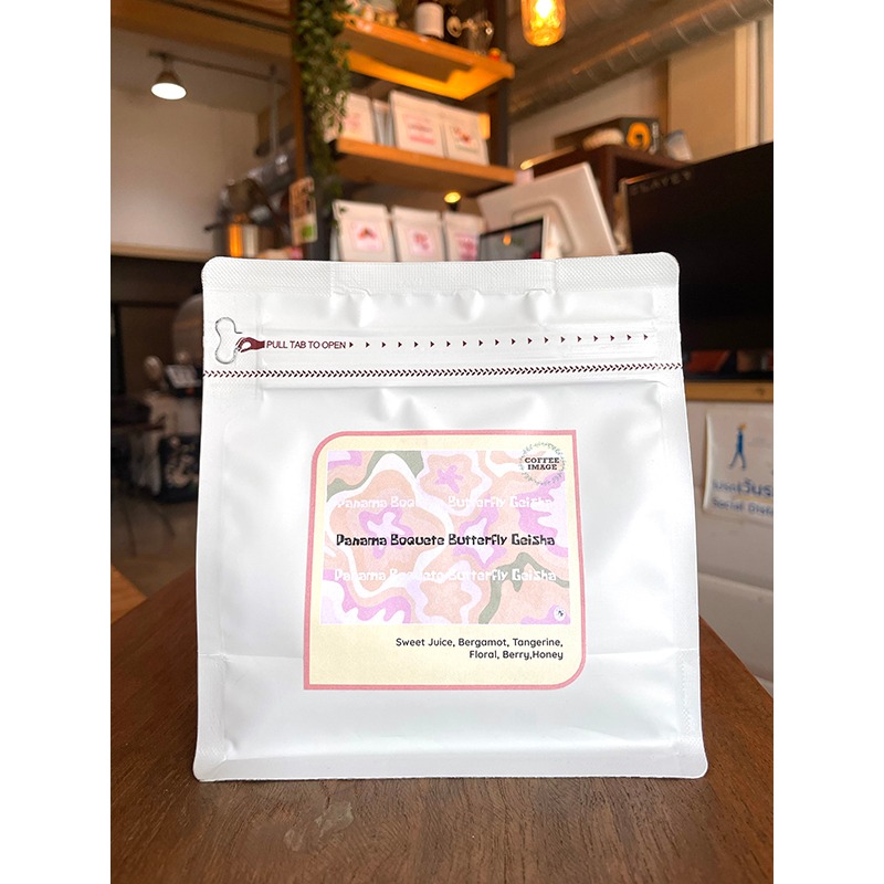 Panama Geisha Natural