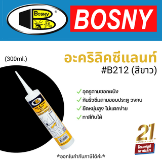 BOSNY อะคริลิกยาแนว อุดรูตามซอกผนัง (300ml.) รุ่น B212 สีขาว