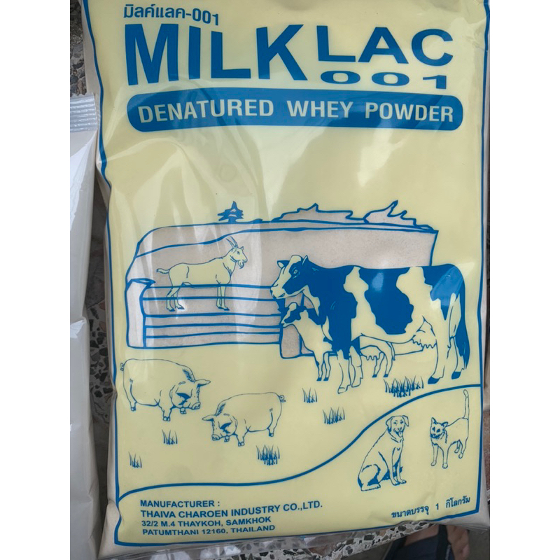 มิลค์แลค-001 Milk lac oo1