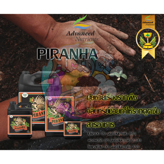 Advanced Nutrients Piranha ช่วยเรื่องรากพืช ช่วยทำให้รากดูดซึมสารอาหาร  บรรจุภัณฑ์แท้