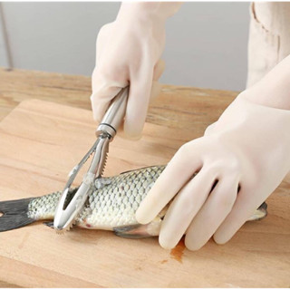 Fish scraper ที่ขูดเลาะเกล็ดปลาสแตนเลส