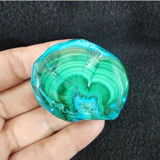 หินก้อนมาลาไคต์ในคริสโซโคลลา(Malachite in Chrysocolla)ยาว 4.4 ซม.กว้าง 4.3 ซม.หนา 2.3 ซม.น้ำหนัก 76.1 g. 