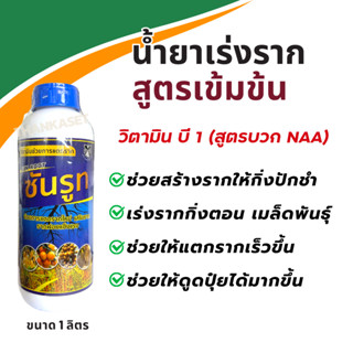 วิตามินบี1 Vitamin B 1 น้ำยา เร่งราก สูตรเข้มข้น (เพิ่มอะมิโน) (เพิ่มเอ็นเอเอ NAA) ขนาด 1 ลิตร