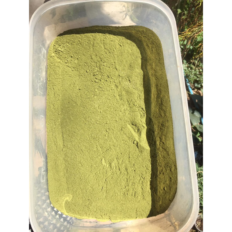 เนียมหอมบดผงชงชาดื่มหอมละมุนมากเหมาะสำหรับคนรักสุขภาพ ราคา ถูกที่สุด ดีลบีเคเค แกลเลอรีภาพที่ 6