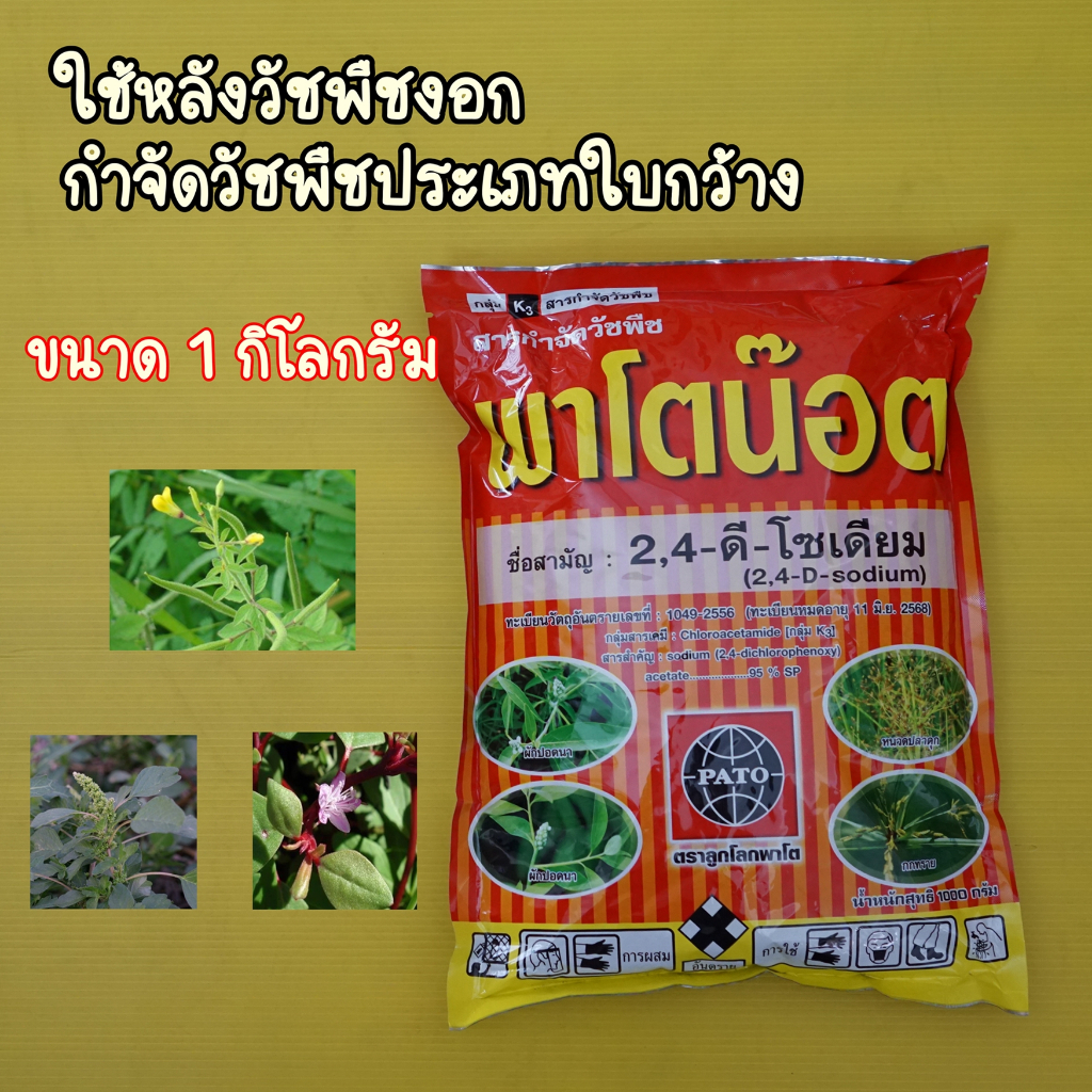 พาโตน๊อต (2,4-ดี-โซเดียม 95% SP) 1 กิโลกรัม กำจัดวัชพืช