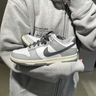 Nike Dunk Low Light Smoke Grey (DD1503-117)