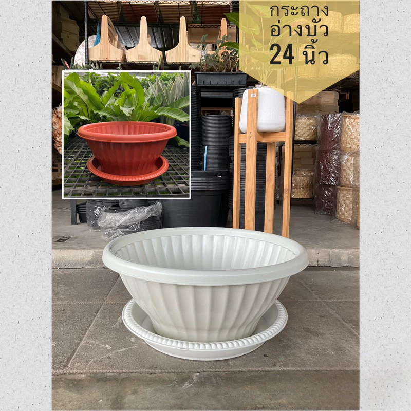 ‼️ถูก และหนา‼️ กระถางอ่างบัว กระถางต้นไม้ พร้อมจานรอง ขนาด 24 นิ้ว