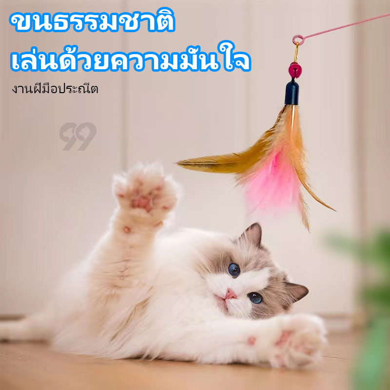 99PET ของเล่นแมว ไม้ตกแมว ไม้ล่อแมว ของเล่นแมวถูกๆ ไม้แมว ของเล่นน้องแมว สหลากหลายรูปแบบ ไม้ตกแมวแบบสปริง ไม้ล่อแมว