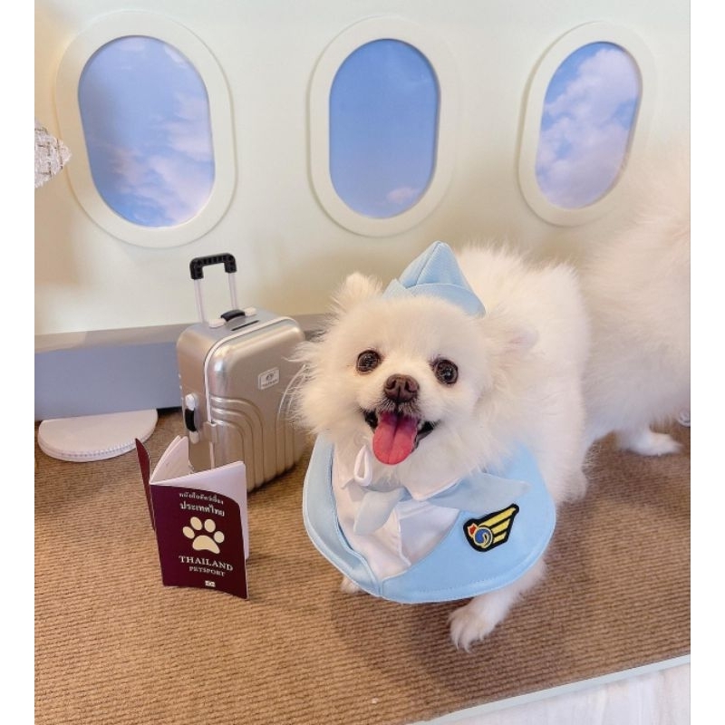 ชุดแอร์โฮสเตสสาวสุดจึ้ง Airline Purrpet