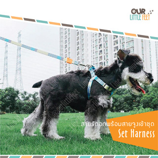 สายรัดอก พร้อมสายจูงเข้าชุด Touchdog  รุ่นสาย Vintage