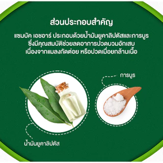 ZamBuk HR แซมบัค เอชอาร์ 8 กรัม, 18 กรัม, ยาหม่องแซมบัค แซมบัก