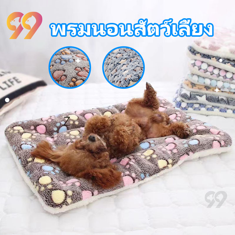 รีวิวที่นอนสุนัขแมว 99PET นุ่มสบาย ซักง่าย คุ้มค่าทุกขนาด