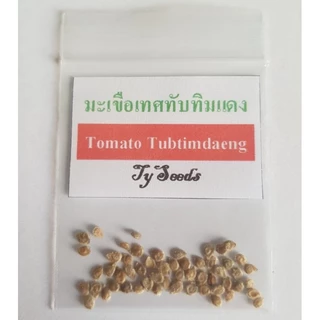 เมล็ดพันธุ์ มะเขือเทศทับทิมแดง 50 เมล็ด [ 10แถม2 ]คละได้