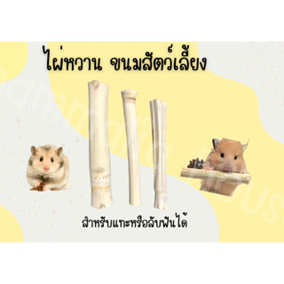 [Hammalia house] ไผ่หวาน สำหรับลับฟัน ไผ่หวานแฮมเตอร์ เม่น กระต่าย