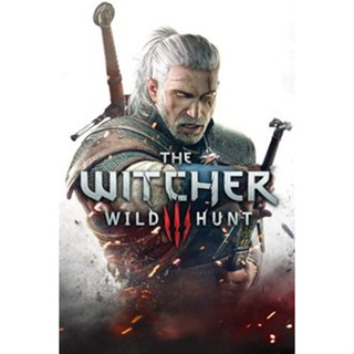 the witcher 3 wild hunt steam offline