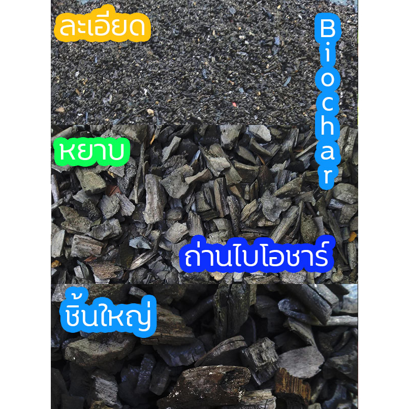 ถ่านบำรุงดินถ่านไบโอชาร์(Biochar) ขนาด 500 กรัม หยาบ ละเอียด ชิ้นใหญ่